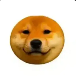 ZINU