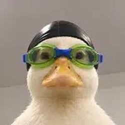 Nasduck