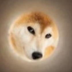 SHIBAMOON