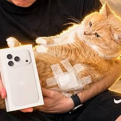 iCat / AAPLx