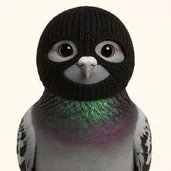 Pigeon