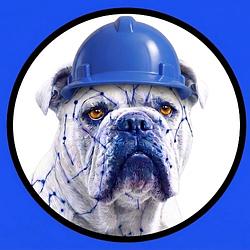 BASEDOG