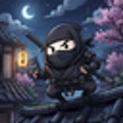 NINJA / SOL