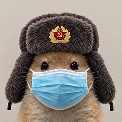 ratwifmask