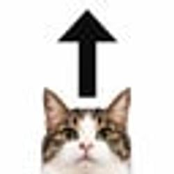 up