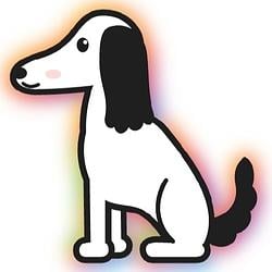 Saluki