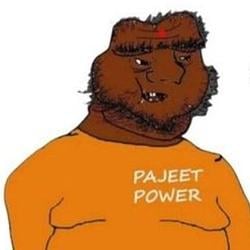 Pajeet / SOL