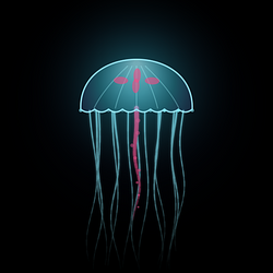 jelly