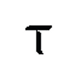 TAO logo
