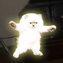 Quantum Leap Cat logo