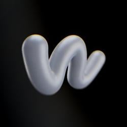 WORM