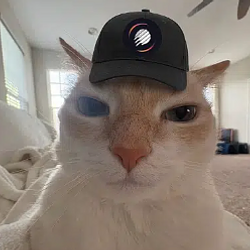METCAT