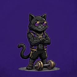 FitCat