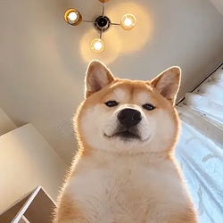 inU