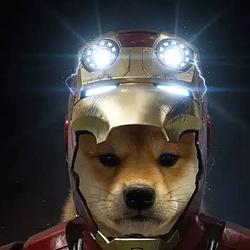 MDOGE / SOL