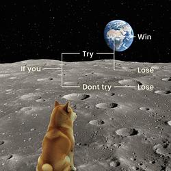 moondoge
