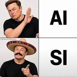 AI/SI