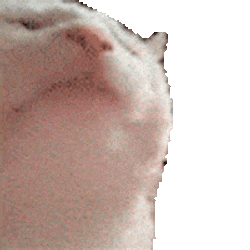 VCAT / SOL