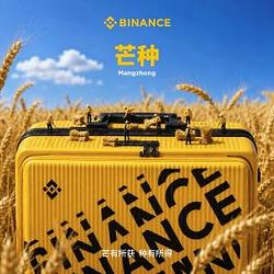 芒种 / BNB