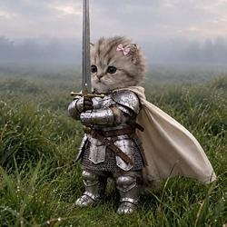 CATY
