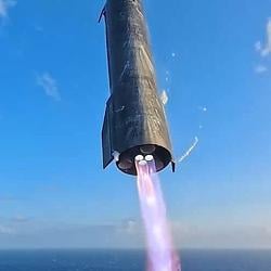 ELON