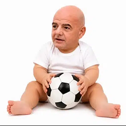 Infantino / SOL