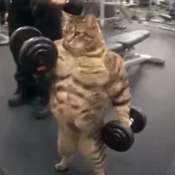 GIGACAT