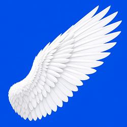 WING