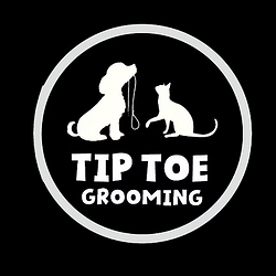 TIPTOE