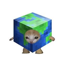 TERRAKOIN