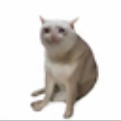 CASHCAT / BNB