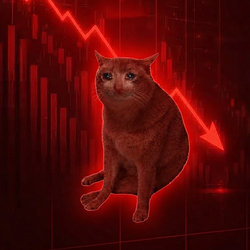 CRASHCAT