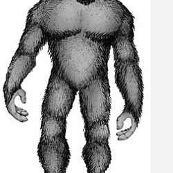 bigfoot / SOL