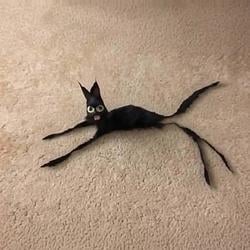 twig / SOL