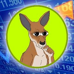 Rooroo The Kangaroo