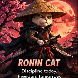 RONIN CAT