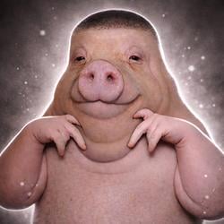 PIGGER