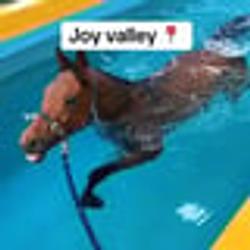 VALLEY / SOL