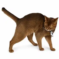 Schrödinger