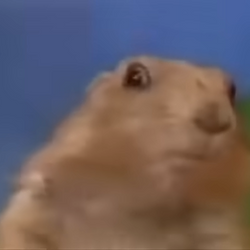 Chipmunk