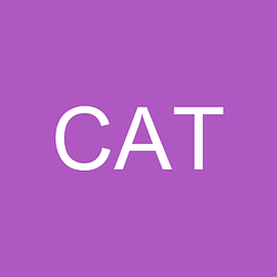 Cat Cult
