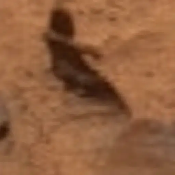 Martian / SOL