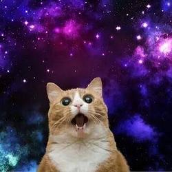 GALAXYCAT