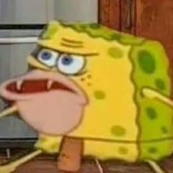 SPONGE