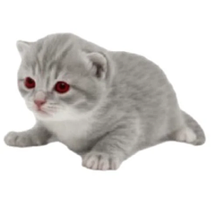 EVILGARY