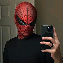 spider