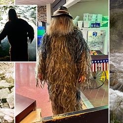 BIGFOOT / SOL