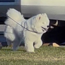 CASPER / SOL