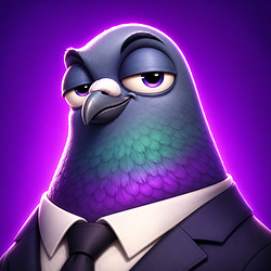 CEO / SOL