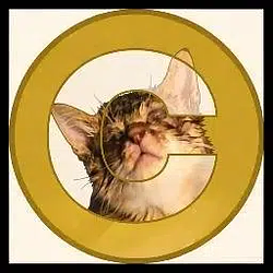 CATE / SOL